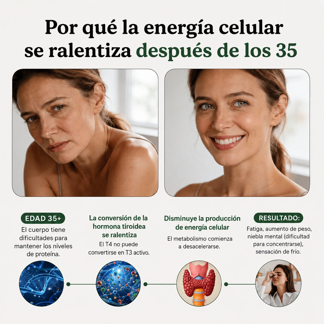 TIVA™ — Soporte Tiroideo Natural para Mujeres con Hipotiroidismo